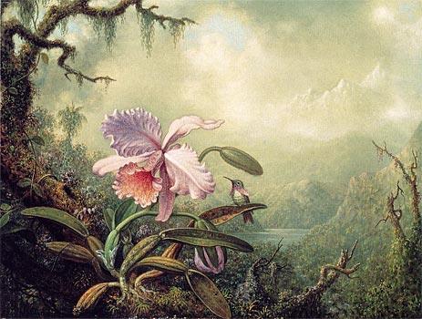 Famous Orchid Paintings page 2